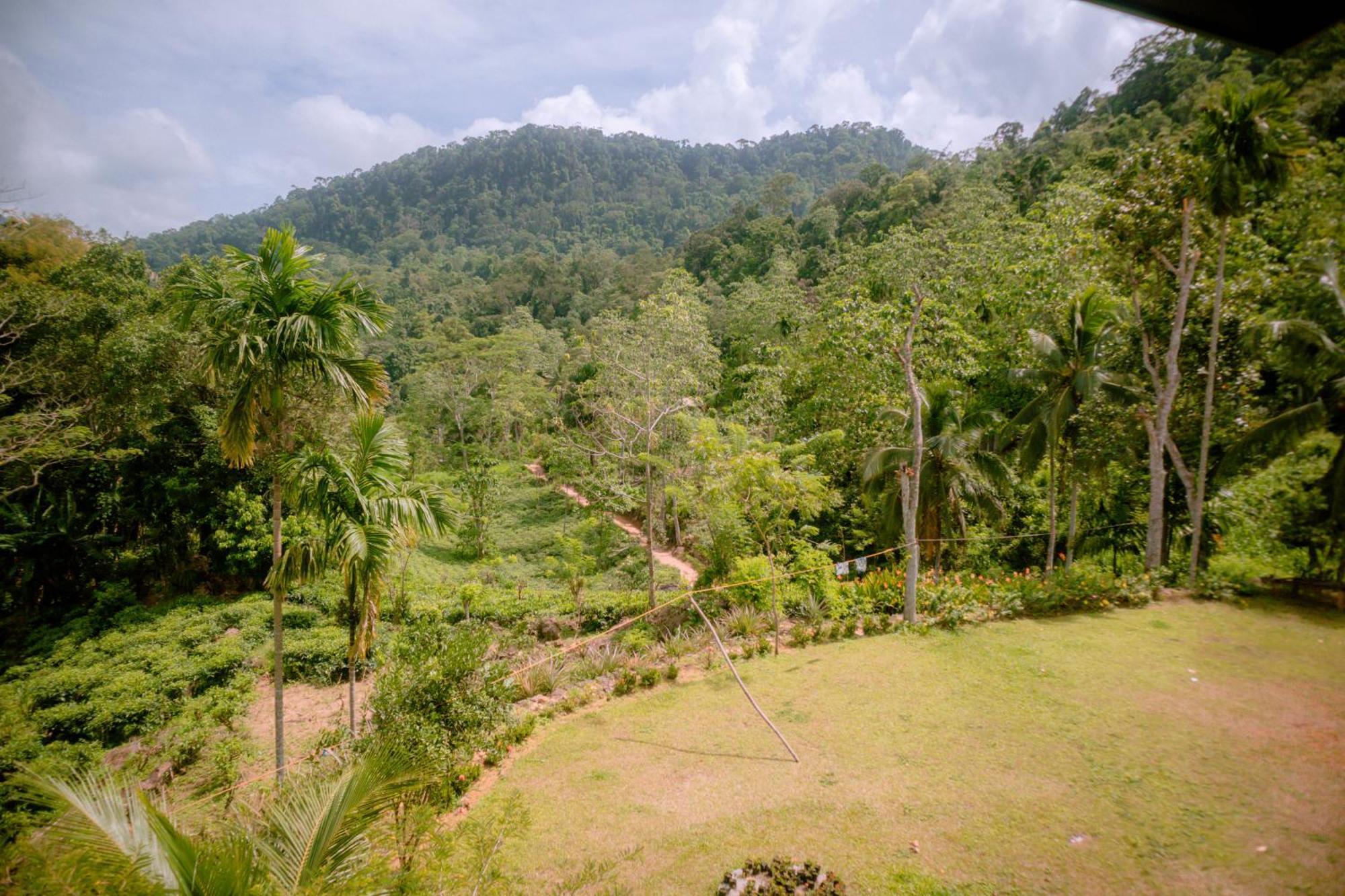 Evergreen Villa - Sinharaja Deniyaya Exterior foto