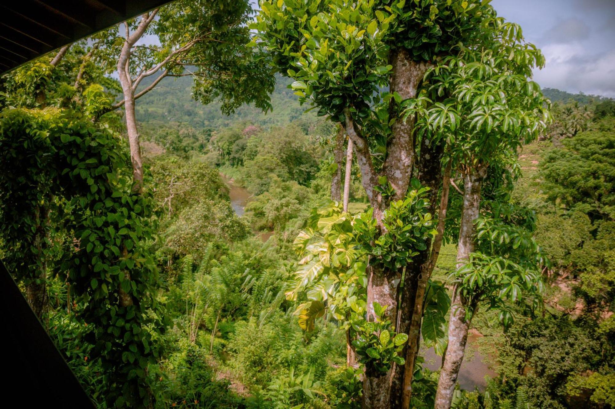 Evergreen Villa - Sinharaja Deniyaya Exterior foto