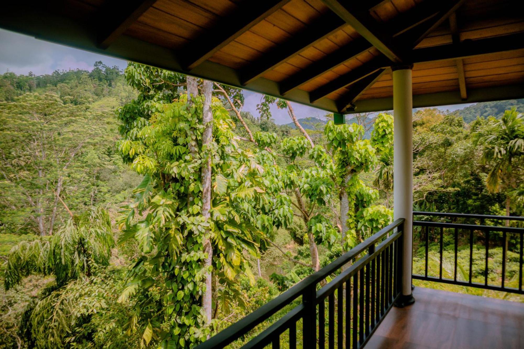 Evergreen Villa - Sinharaja Deniyaya Exterior foto